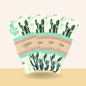 CLEARANCE BUNDLE: Cacti Set of 3