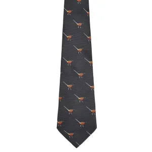 Dubarry Madden Silk Tie