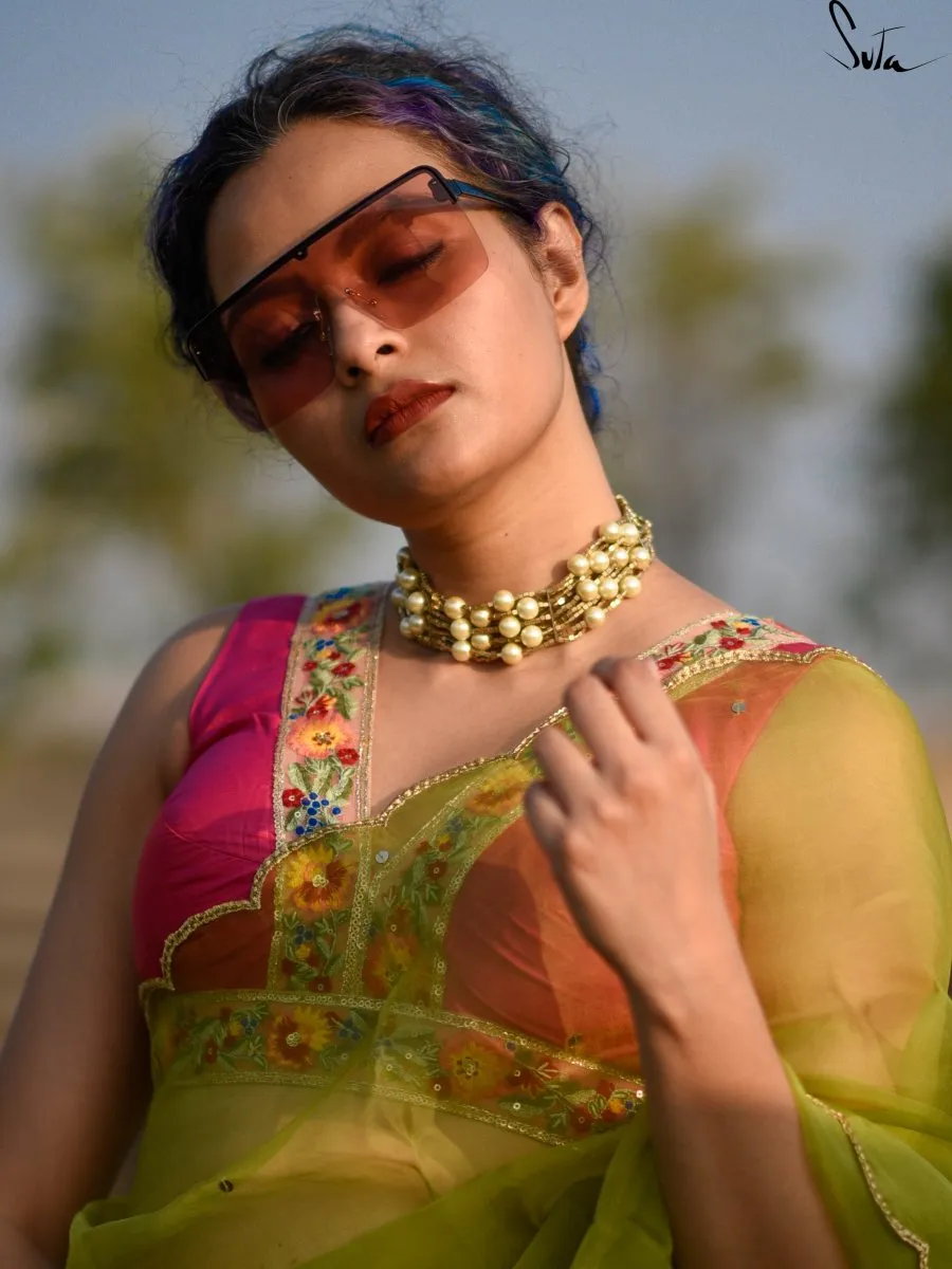 Gulabi Bagicha  ( Blouse )