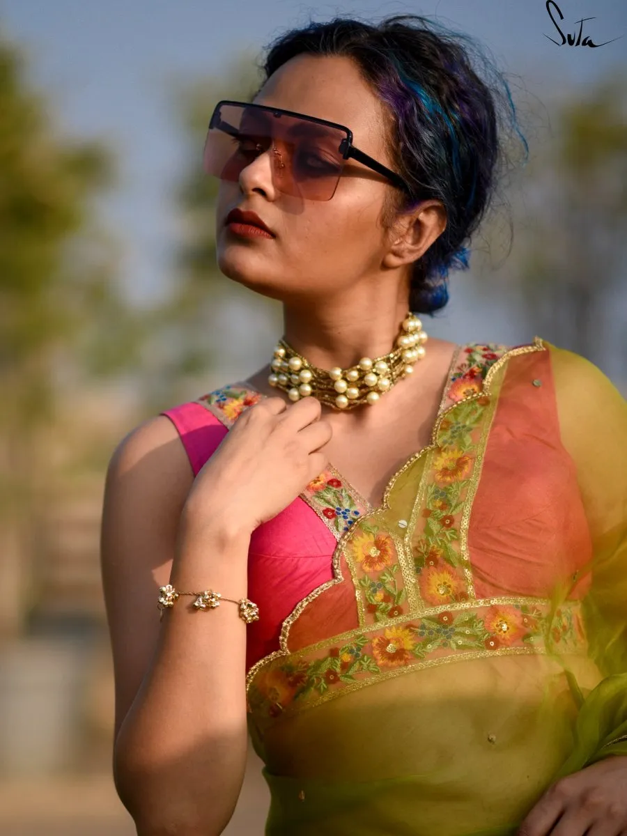 Gulabi Bagicha  ( Blouse )