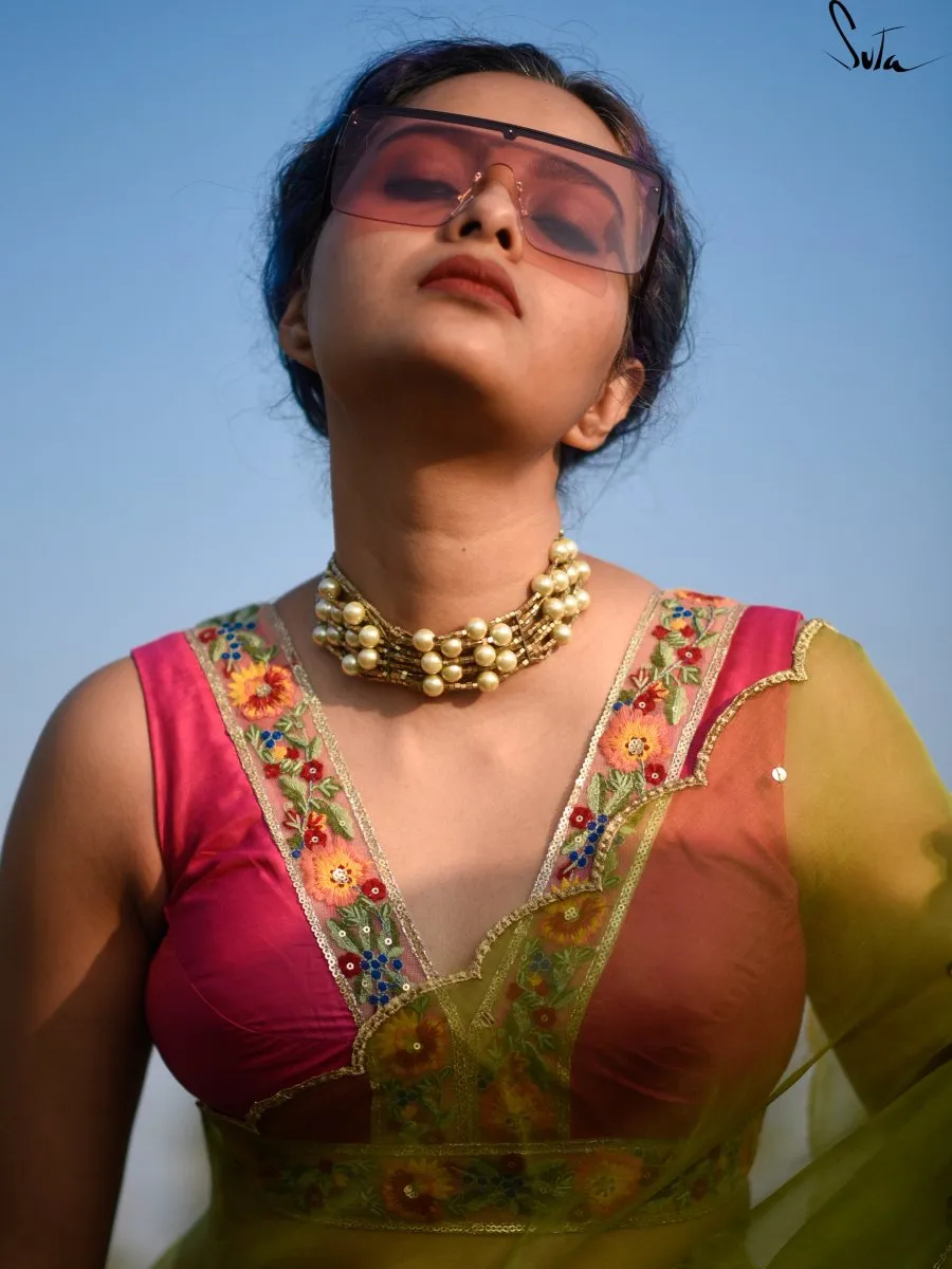 Gulabi Bagicha  ( Blouse )