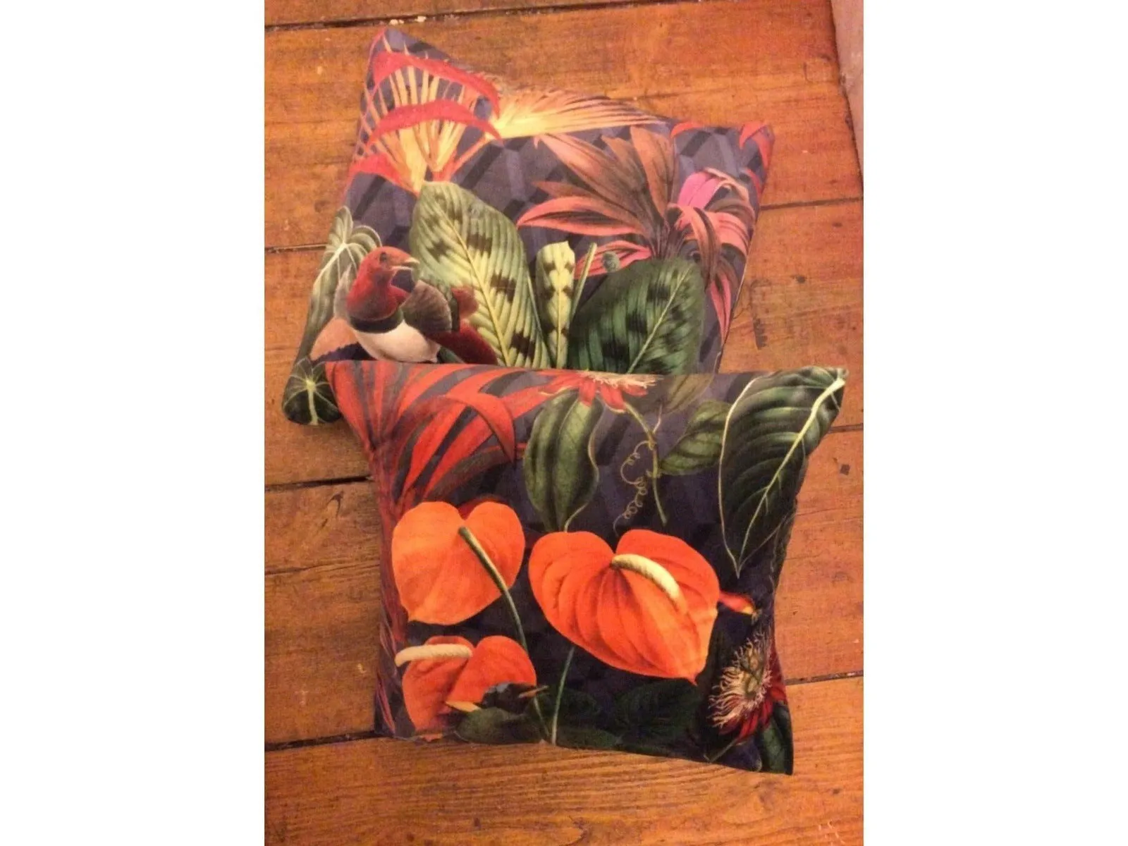 TROPICAL DREAM Pattern Upholstery / Furnishing  velvet - 140  cms - 330 gsm