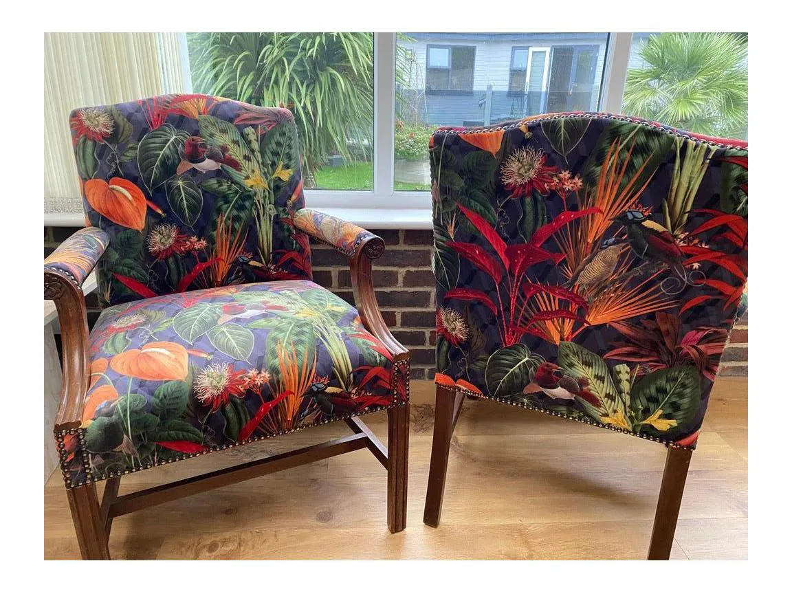 TROPICAL DREAM Pattern Upholstery / Furnishing  velvet - 140  cms - 330 gsm